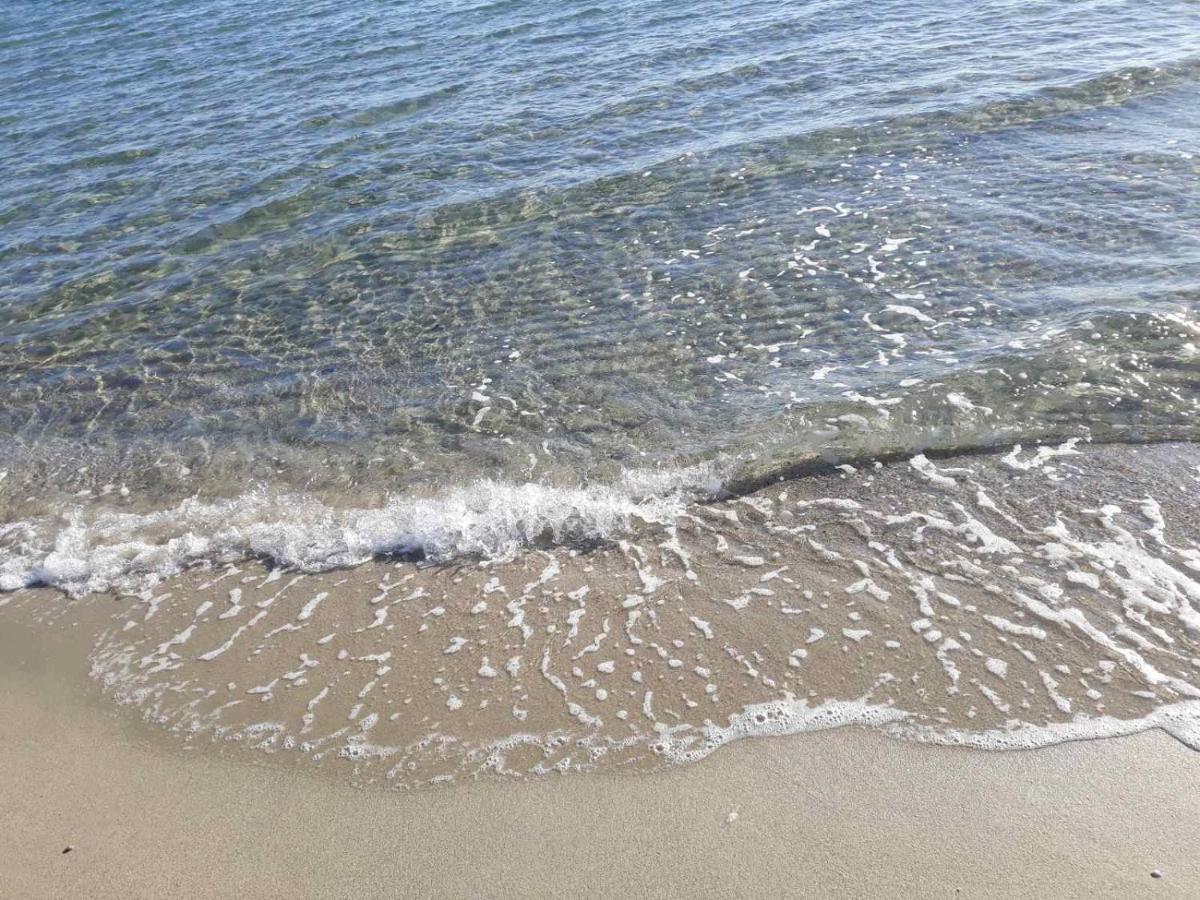 Villa Alexander Paralia Katerinis Bagian luar foto